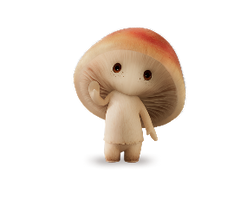 Free Premium Gift Bundle